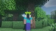 Steve wearing a parrot's head (Image via Minecraft)